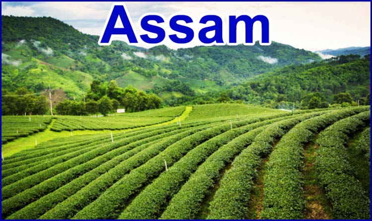 Assam Land